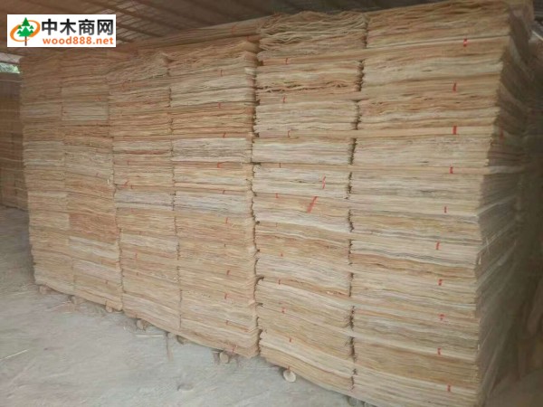 广西桉木单板国内品牌_东岳木业厂家