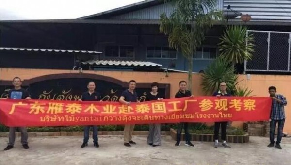 广东雁泰木业集团在泰国参观考察甘当工厂