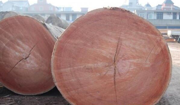 老挝木材砍伐量明显将严重萎缩，不少红木商户开始囤货