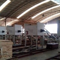 广西国有博白林场万林公司引进的6台全自动叠板机