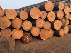 张家港现代木业大量出售原木,板材,拼板,大板