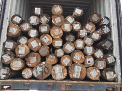张家港克丽斯玎木材有限公司【巴西桉木原木】一手货源大量供应图2