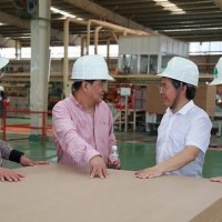 人造板行业洗牌开始 三大创新助推丰林木业转型升级