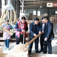 板材产业集群专业镇：埇桥顺河木业发展现状