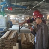 绥芬河国林木业城:“国林模式”，打造木业园区的新标杆