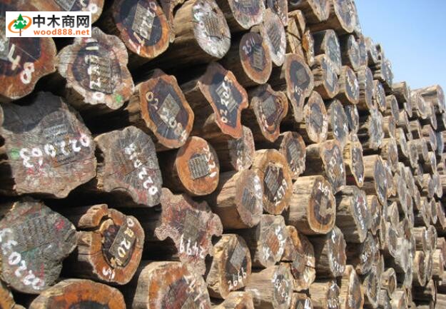 进口木材名称国标：摘亚木