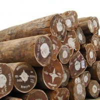 莫桑比克木材出口形势与最新动态