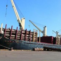 万蓬集团“中国精神”木材船10000余立方米原木到港