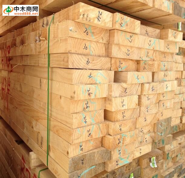 2016年12月13日江西木材市场辐射松、铁杉板材价格行情