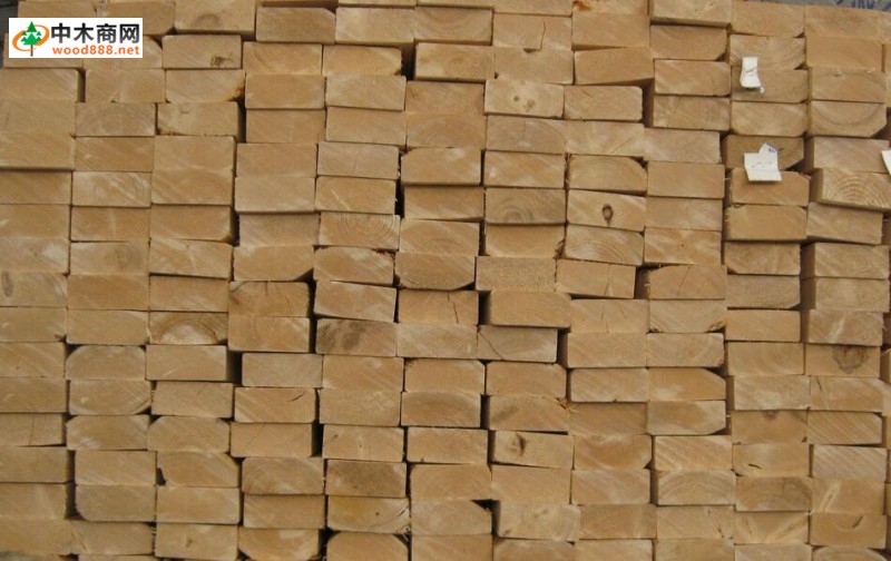2016年12月13日广西木材市场品牌建筑木方价格行情