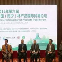 第六届中国（南宁）林产品国际贸易论坛召开