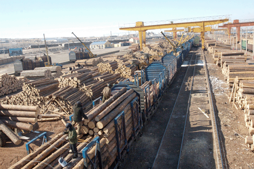 满洲里、二连浩特、绥芬河口岸11月木材到货信息汇总