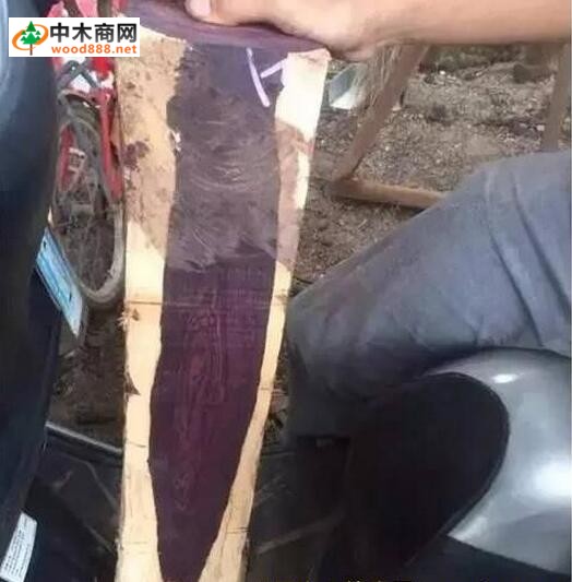 赛州黄檀:又一种冒充海南黄花梨的木材,相似度达90%