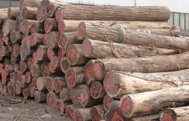 南非木材市场红木和柚木销量下滑