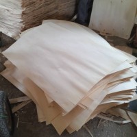 杨木家具板杨木木皮杨木单板厂家直销货源稳定长期大量供应
