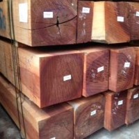 进口木材名称国标：任嘎漆木