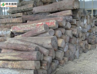 老挝可从工贸部购买原木材