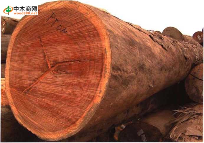 南洋地区进口木材名称 摘亚木dialium Spp图文介绍 中木商网 名词