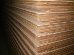 山东加工生产集装箱修箱板厂家首选临沂棕森木业