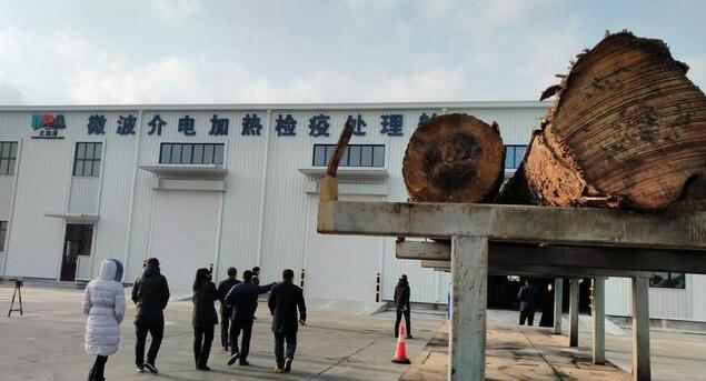 我国首创世界微波检疫处理原木技术在辽宁大窑湾投入使用