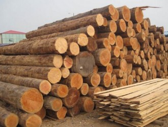 辉煌精品松木专业从事国产松木批发本地松木批发货源稳定