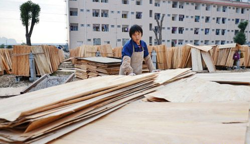 广西罗城木材加工产值超4.5亿元