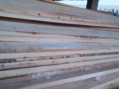 内蒙古实木白松板材厂家联系方式康泰贸易厂家联系方式