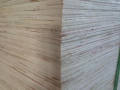 山东杨木多层板沙发板包装板生产厂家首选菏泽鄄城钰商木业