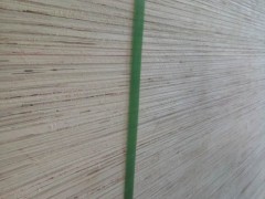 鄄城钰商木业专业生产各种规格杨木多层板沙发板包装板货源稳定