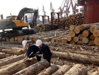 我国最大的海运散装原木进口口岸 岚山港一年接卸进境原木513万立方米