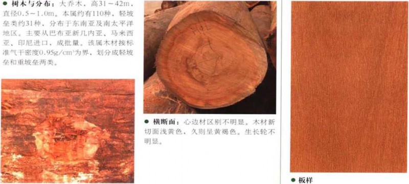 南洋地区进口木材名称：坡垒(轻)Hopea spp.