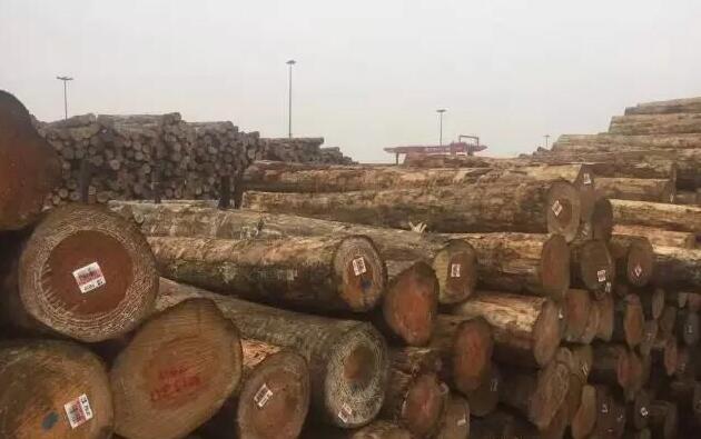 太仓港木材进口量创新高 货值不升反跌
