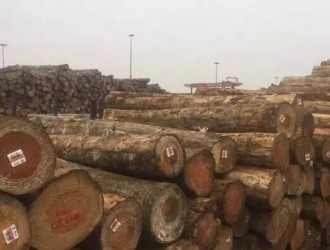 太仓港木材进口量创新高 货值不升反跌