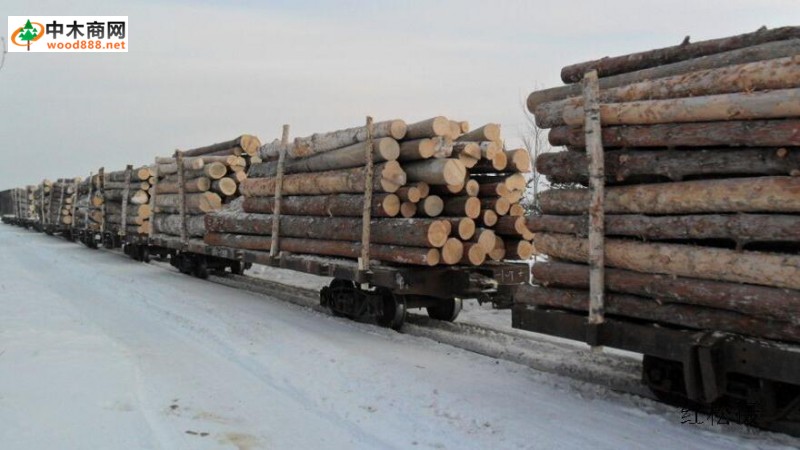 云南省木材运输管理规定草案通过审议