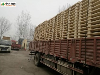 山东包装箱LVL 顺向板生产厂家联系方式山东永安木业联系方式