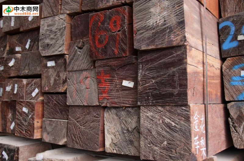 中国木材商在柬埔寨购买高级木材 被骗六百多万美金