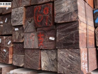 中国木材商在柬埔寨购买高级木材 被骗六百多万美金