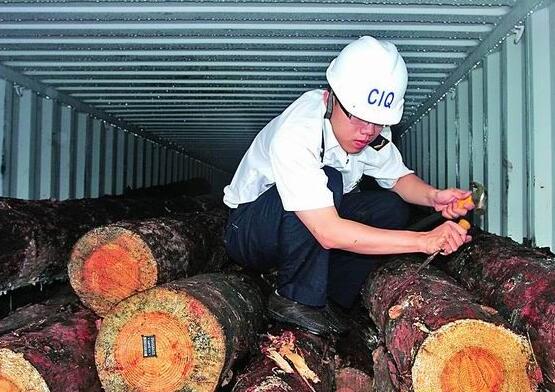 莆田口岸2016年原木进口量回升 集装箱原木增长二倍