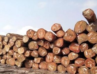 爱沙尼亚第三季度木材出口下跌4%