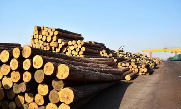 2017中国木材市场走向预测