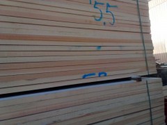 内蒙古腾飞木材贸易公司专业定制家具板厂家