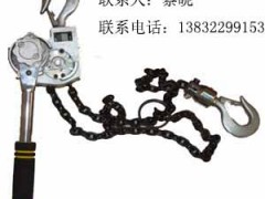 日本NGK手扳葫芦|进口铝合金手板葫芦图1