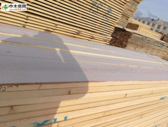 满洲里樟子松自然宽板材厂家联系方式满洲里桦涌宏强木业联系方式
