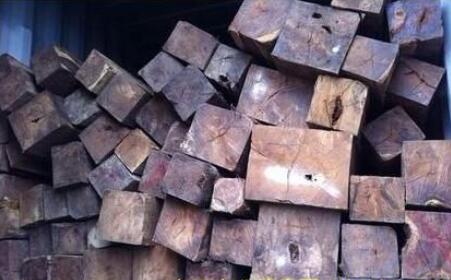 宁波口岸木材进口量突破3亿美元 非洲名贵原木进口增长尤为抢眼