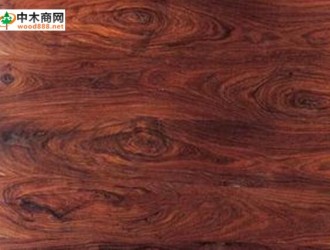 缅甸木材树种详解：紫檀木Padauk