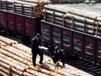 绥芬河铁路口岸2016年进口木材创八年来新高