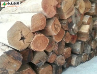 缅甸没收的木材经过拍卖也不算合法木材