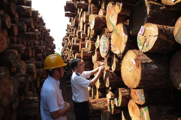 进口木材检尺市场开启新模式 质量共治推动发展