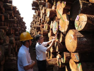 进口木材检尺市场开启新模式 质量共治推动发展