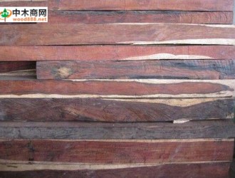 东南亚红酸枝木材识别特征 交趾黄檀